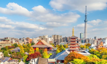 Elegant Küba Turu - Ekstra Turlar Dahil