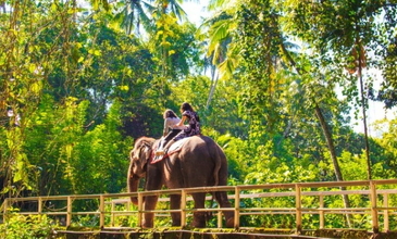 Elegant Sri Lanka - Ekstra Turlar Dahil