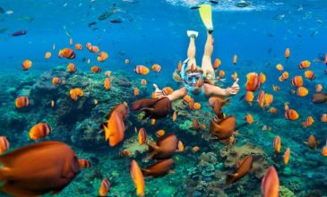 Bali & Ubud Serüveni Turu - Emirates Hava Yolları ile - 5 Gece 6 Gün