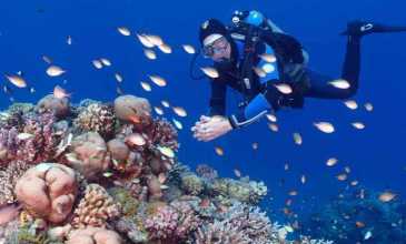 Promosyon Sharm El Sheikh Turu - Ajet Havayolları ile - 3 Gece 5 Gün - Transfer Saatine Kadar Otel Kullanımlı
