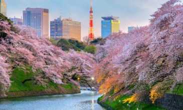 Süper Promo Direkt Sefer İle Japonya Turu Rotası - Ana Air Havayolları – 6 Gece 8 Gün