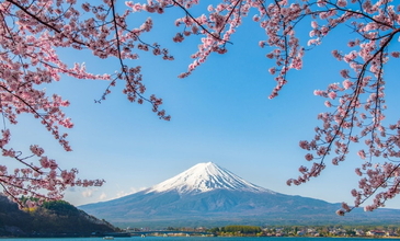 Elegant Japonya& Güney Kore Turu - Ekstra Turlar Dahil