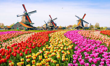 Elegant Benelux & Paris & Alsace Turu - Ajet Havayolları ile - 7 Gece 8 Gün