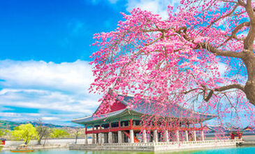 Comfort Japonya & Kore Turu - Emirates Hava Yolları ile - 8 Gece 10 Gün - Ekstra Turlar ve Çay Seremonisi Dahil