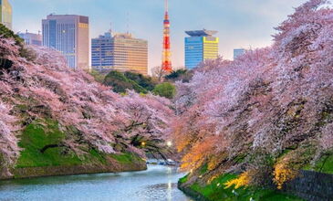 Dolu Dolu Japonya & Kore Turu Eğlence Rotası - Türk Hava Yolları İle - 7 Gece 10 Gün - Osaka’da Universal Studios, Tokyo’da Disneyland - Ekstra Turlar Dahil