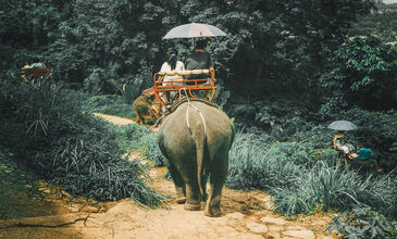 Dolu Dolu Phuket & Singapur Turu - Singapur Havayolları ile - 5 Gece 8 Gün - Ekstra Turlar Dahil