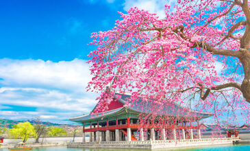 Klasik Japonya & Güney Kore Turu - Türk Havayolları ile - 7 Gece 9 Gün