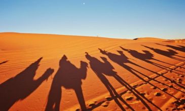 Fas Kraliyet Şehirleri Turu  - AirArabia Havayolları ile -  4 Gece 5 Gün - Tüm Şehir Turları & Akşam Yemekleri Dâhil!