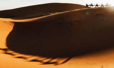 Ankara 'dan Vize Dahil Dubai Turu - Ajet Havayolları ile - 3 Gece 5 Gün