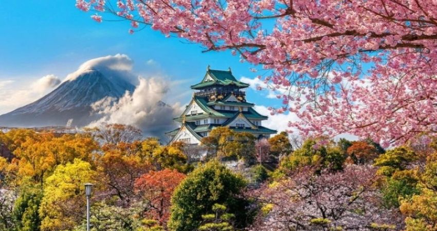 Elegant Japonya - Güney Kore Turu - Türk Havayolları İle - 7 Gece 9 Gün - Ekstra Turlar Dahil!