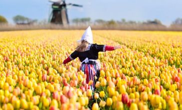 Benelüks ve Almanya “Almanya, Hollanda, Belçika” Turu   - Türk Havayolları İle - 3 Gece 4 Gün