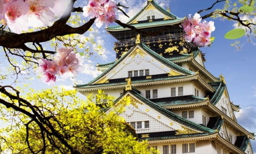 Elegant Japonya & Güney Kore Turu - Ekstra Turlar Dahil