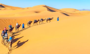 Görkemli Fas Krallığı ve Sahra Çölü Turu - Türk Havayolları İle - 7 Gece 8 Gün