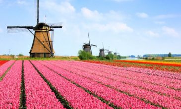 İzmir'den Direkt Hareket Görkemli Üçlü Benelüx & Fransa & Almanya Turu - SunExpress Havayolları ile - 7 Gece 8 Gün 01 Mayıs Özel