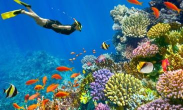 Sharm El Sheikh Turu - Ajet Havayolları ile - 2 Gece 3 Gün