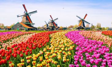 Konya’dan Benelüx & Paris & Alsace Turu - Sunexpress Hava Yolları İle - 7 Gece 8 Gün